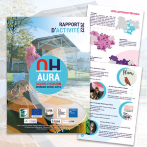 Infographiste creation site internet beaujolais